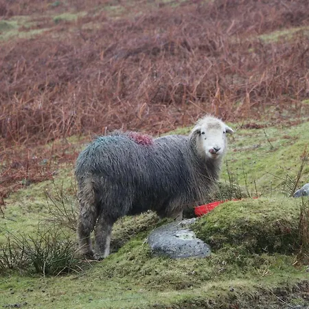 Howgills Retreat Σπίτι διακοπών *