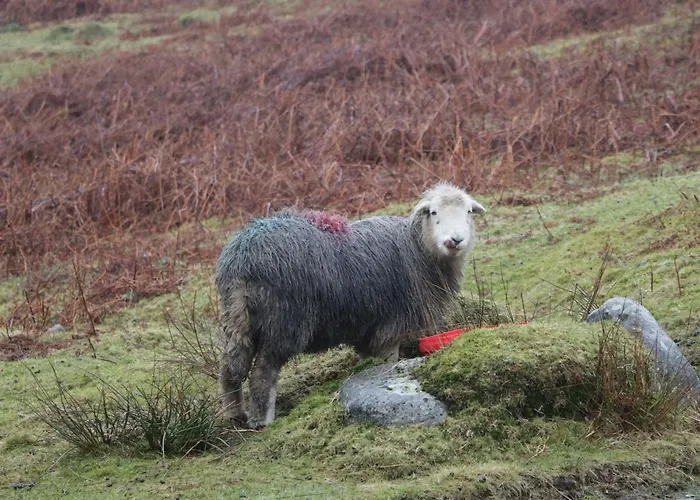 Howgills Retreat 別荘 *